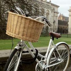Bicycle and Senate House